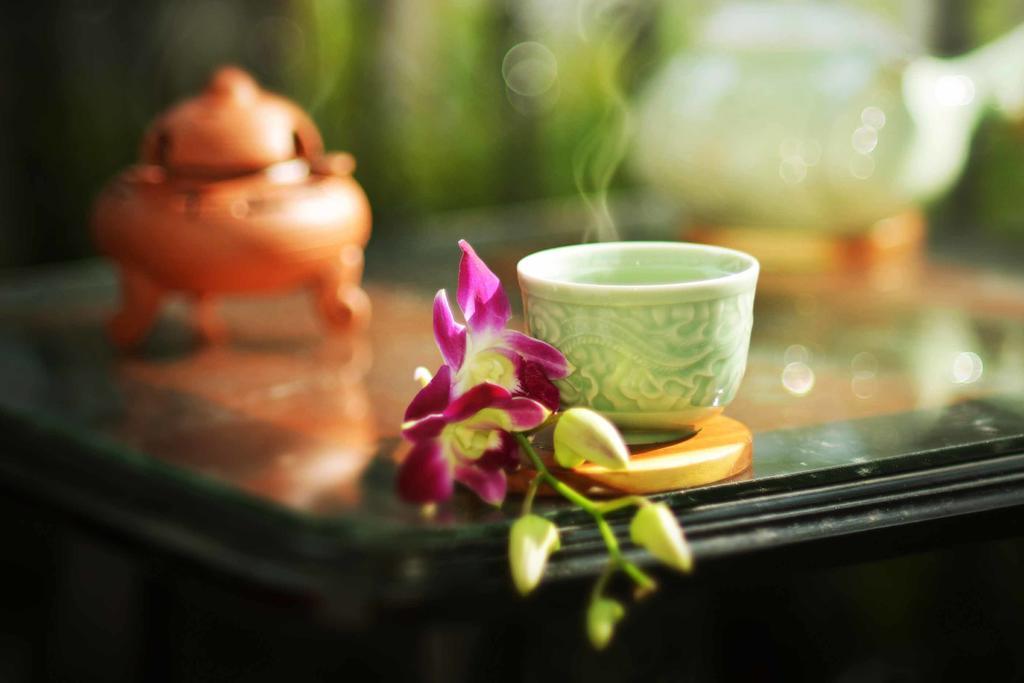 Rice Village Homestay Hoi An Zewnętrze zdjęcie